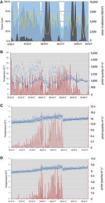 Mixotrophic Growth Under Micro-Oxic Conditions in the Purple Sulfur Bacterium “Thiodictyon syntrophicum”